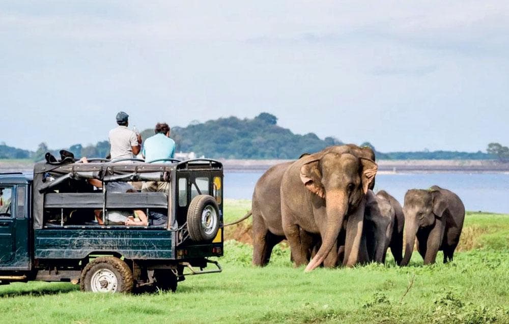 Private wildlife and luxury escape journey